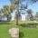 large grass area with rocks and trees